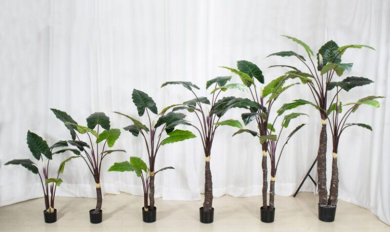 artificial taro plant