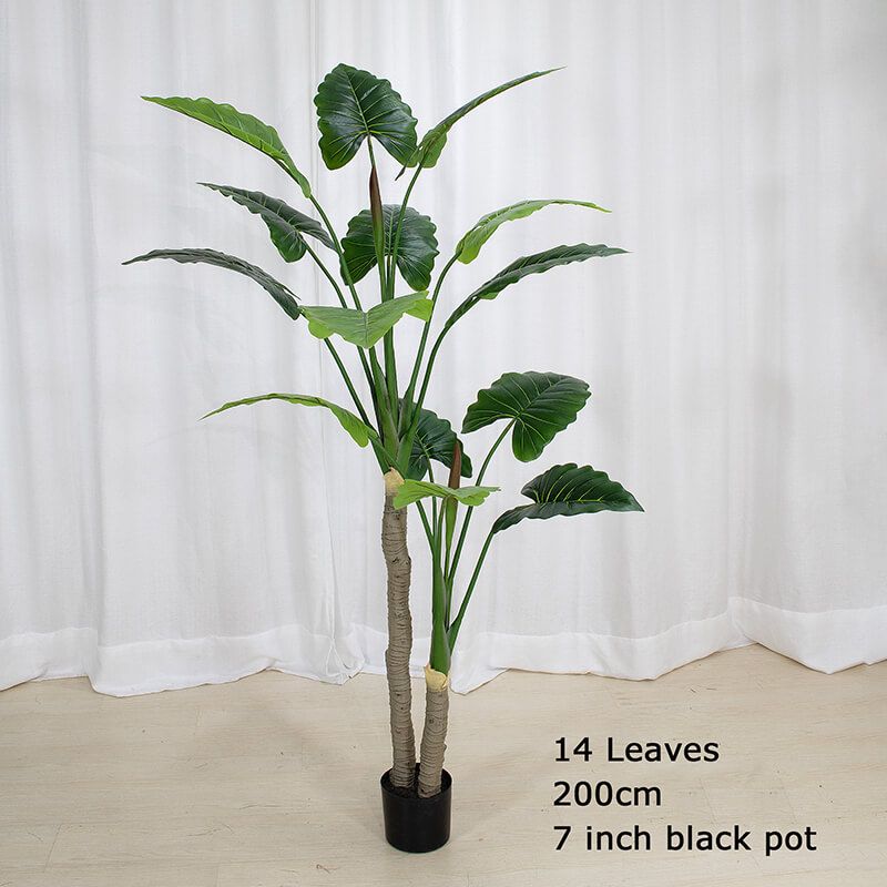 Artificial Taro Plant