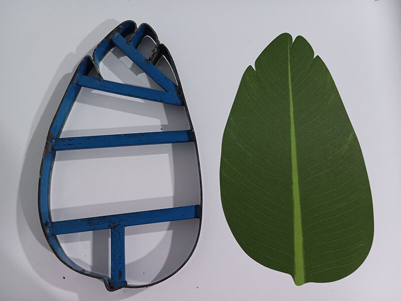 banana leaves mold