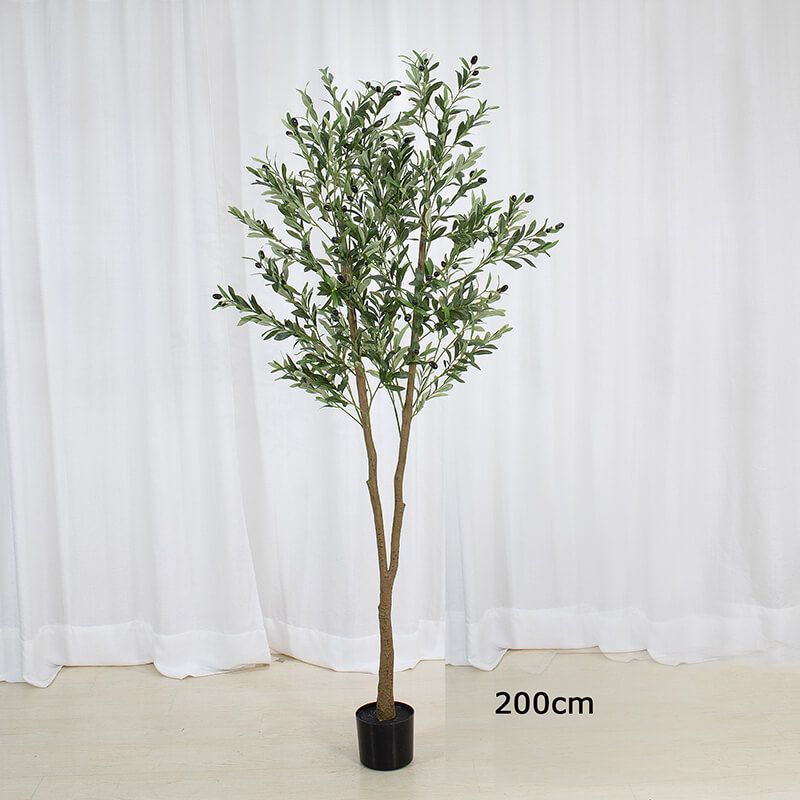 Fake Olive Tree