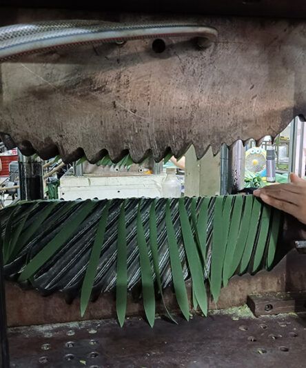 palm leaf machine