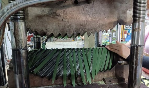 palm leaf machine