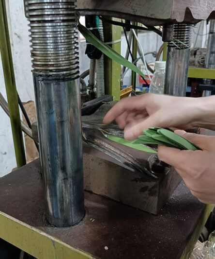 palm leaf machine