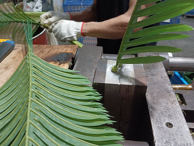 palm leaf machine