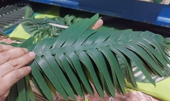 palm leaves