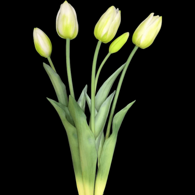 artificial tulip