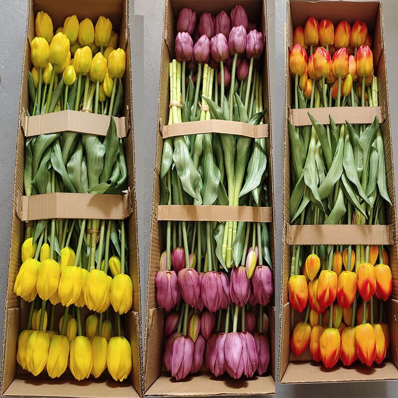 artificial tulips