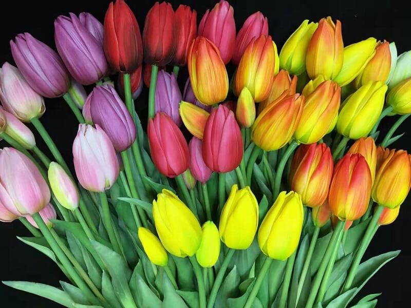 artificial tulips