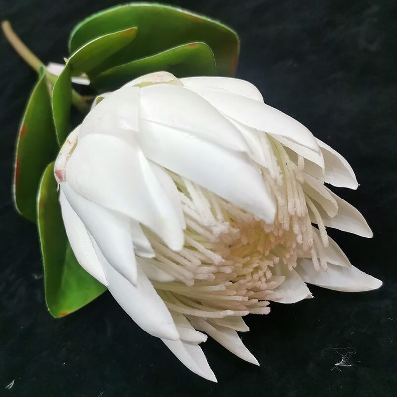 Artificial Protea Flower