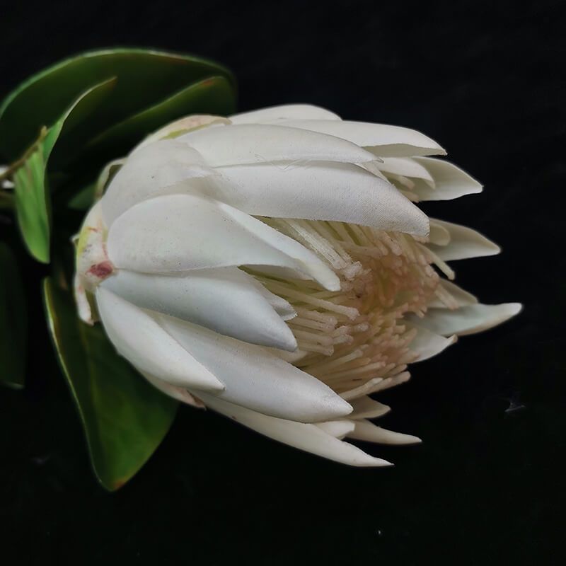 Artificial Protea Flower