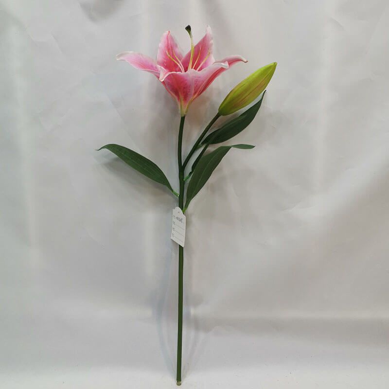 pink lily flower