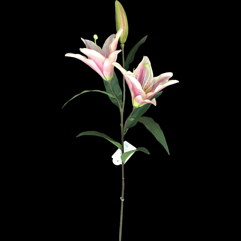 HR0564 pink lily