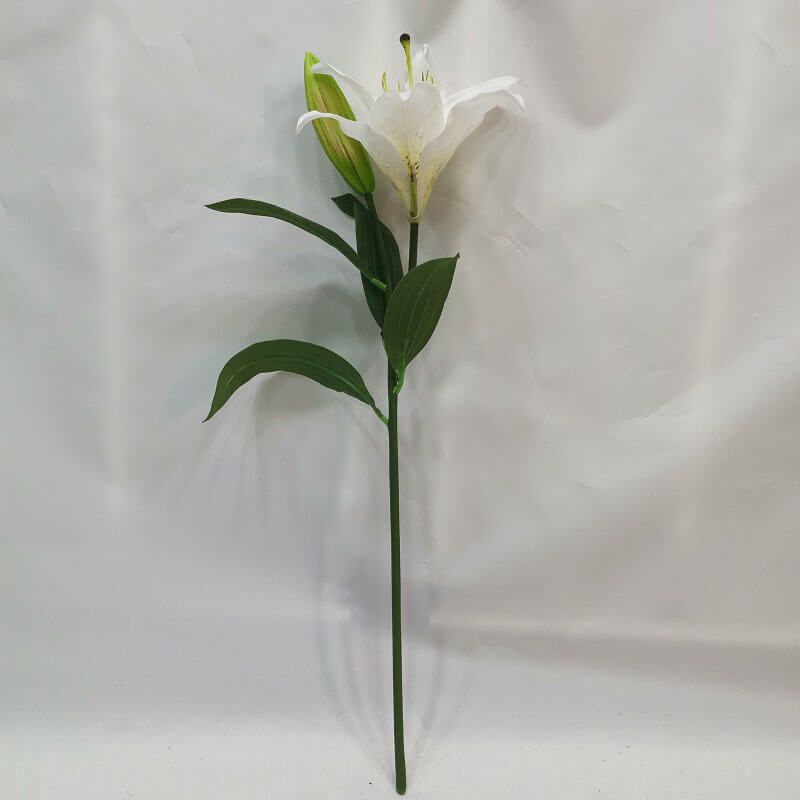 white lily flower