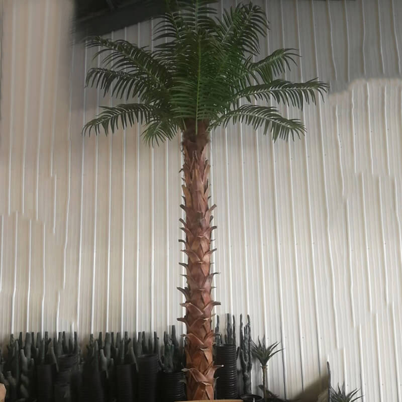 large palm tree