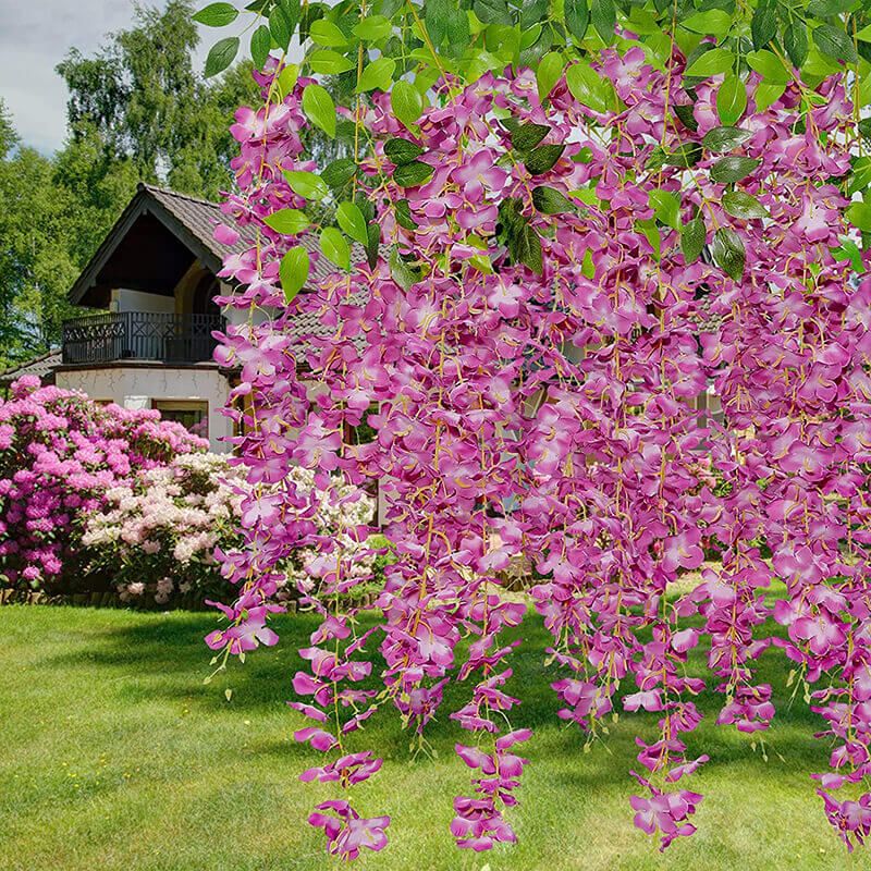 Wisteria garlands