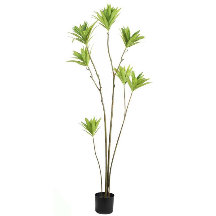 Dracaena Artificial Plant 150cm 180cm 200cm - 图片 3