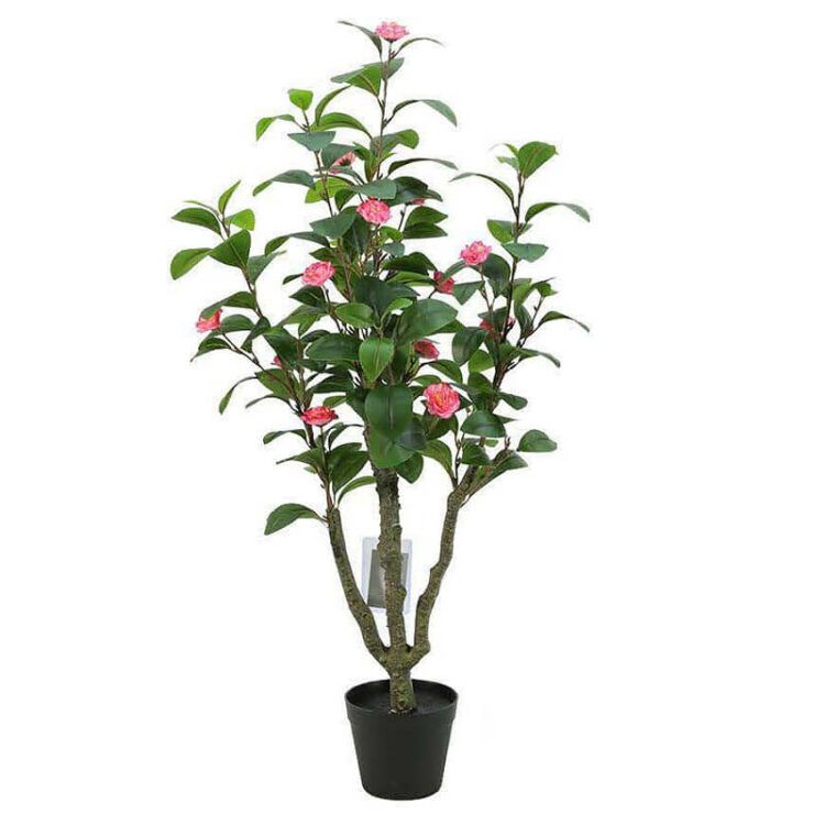 Artificial Camellia Tree 100cm 120cm 150cm 180cm - 图片 4