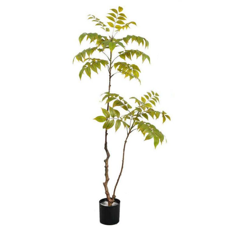Artificial chinese toon tree 120cm 150cm 180cm - 图片 4