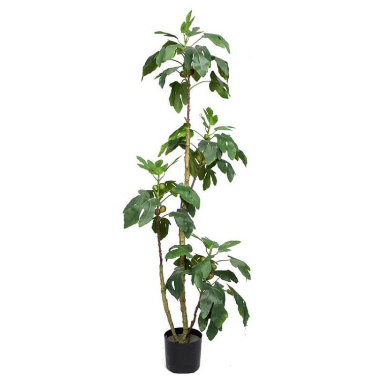 artificial fig tree