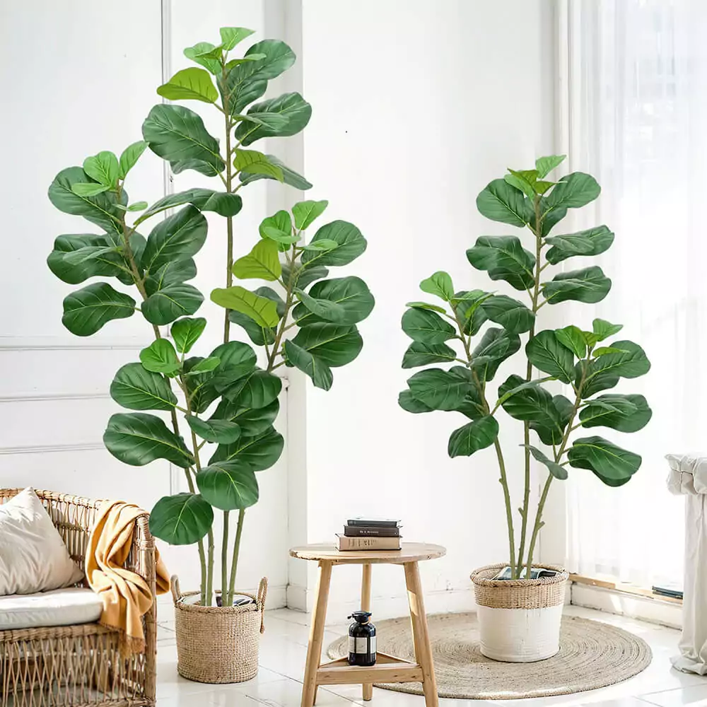 Artificial Fiddle Fig Trees