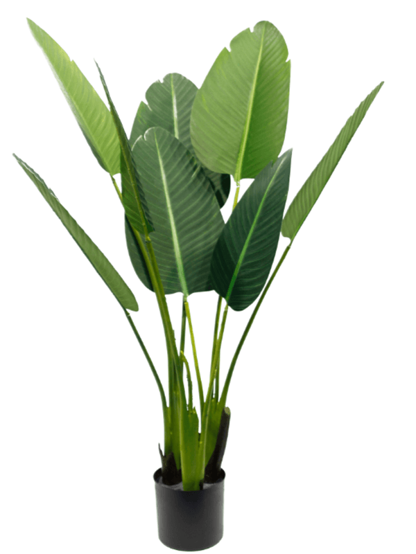 Artificial Banana Leaf Plant