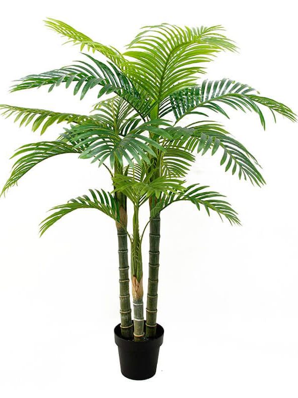 Fake Palm Plants