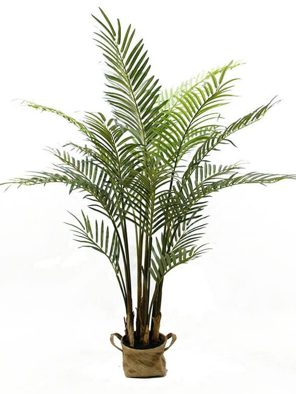 Indoor Artificial Palm Trees