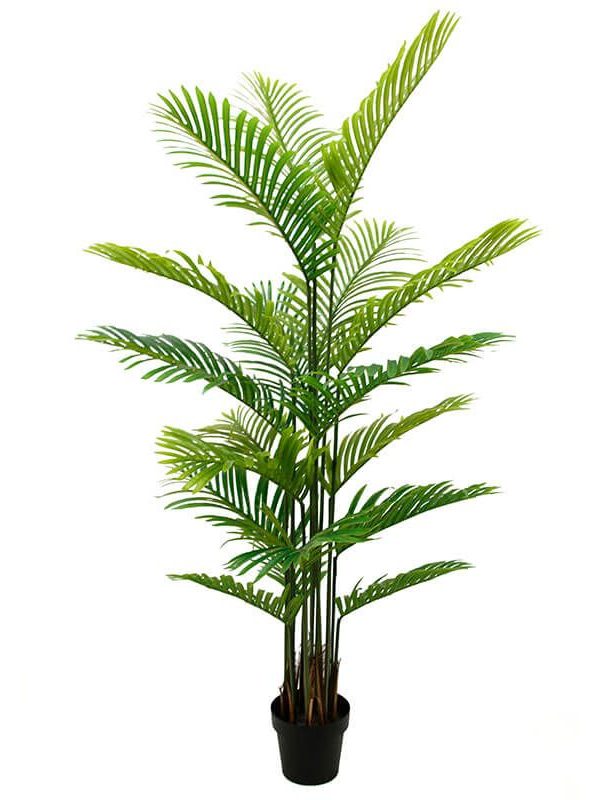 Artificial Palm Plant