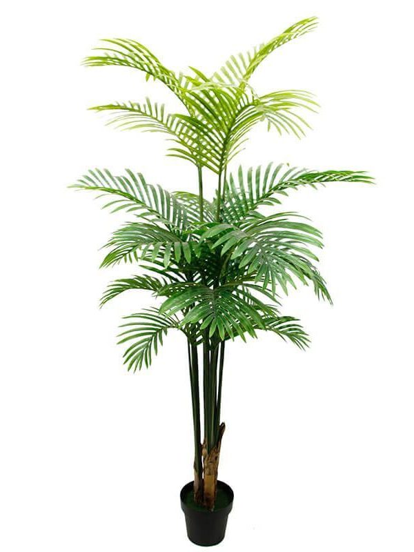 Artificial Palm Tree 6ft