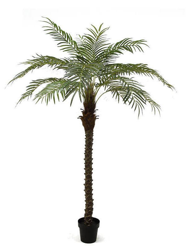 Artificial Palms