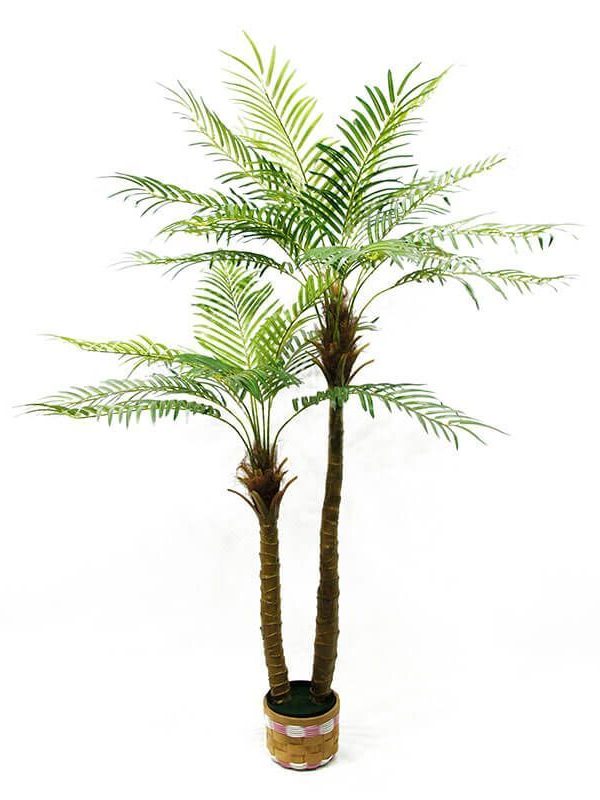 Outdoor Artificial Palm Trees