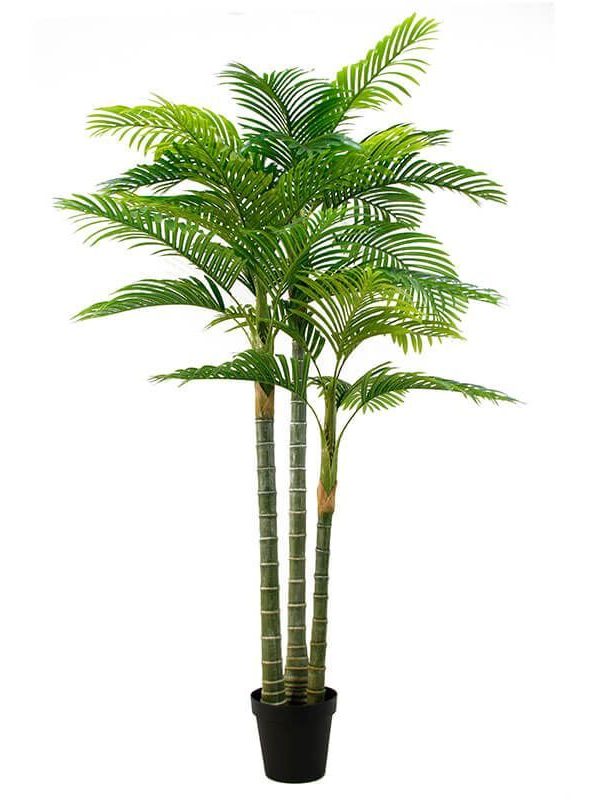 Outdoor Palm Tree Artificial