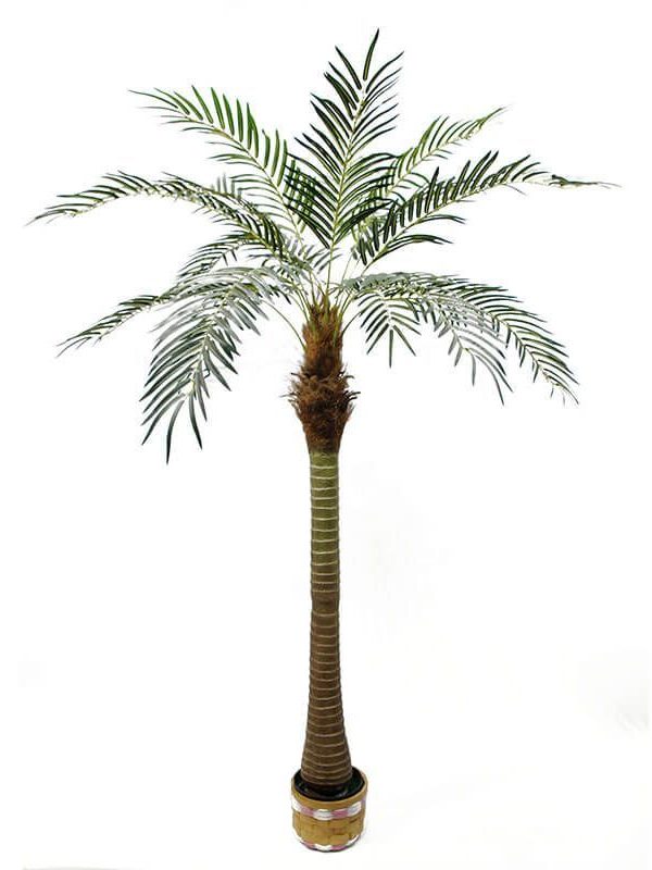 Artificial Phoenix Palm Tree