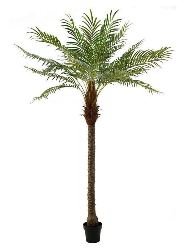 Fake Palm Tree