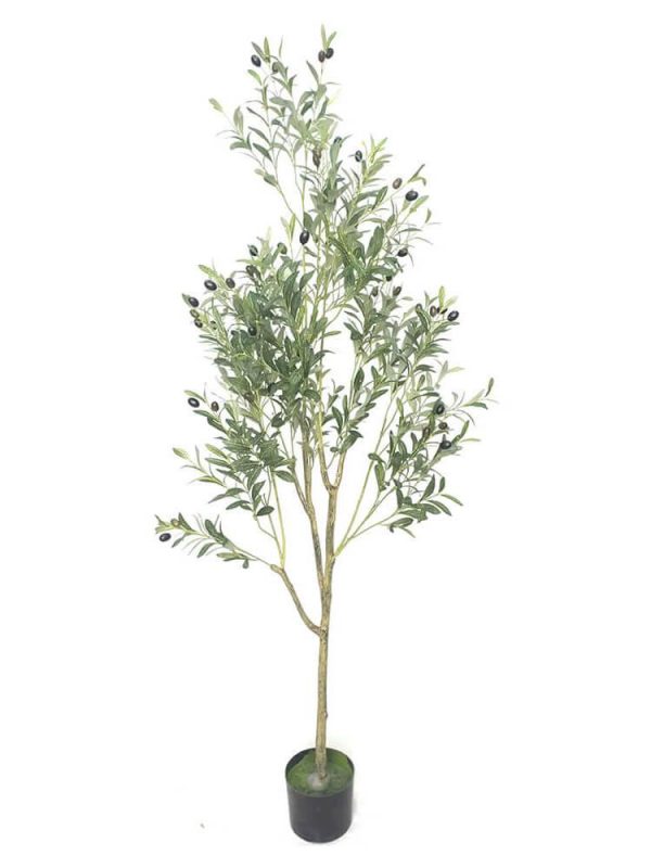 6ft Artificial Olive Tree